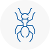 Ant Removals In Clay Cross