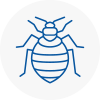 Bed Bug Extermination In Clay Cross
