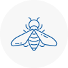 Bee Nest Removal Clay Cross