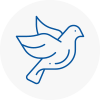Bird Prevention Clay Cross