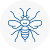 Clay Cross Hornet Nest Removals