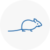 Mice Exterminators In Clay Cross