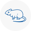 Rat Control Clay Cross
