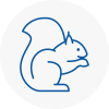 Clay Cross Rodent Removals