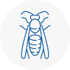 Clay Cross Wasp Nest Removal